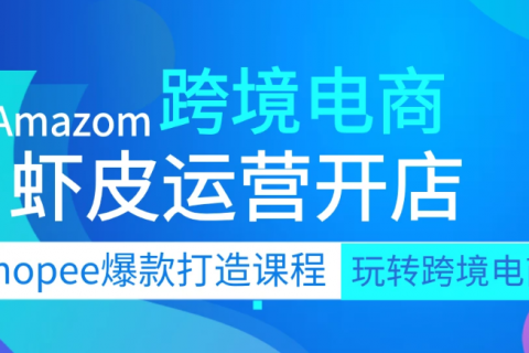 2023跨境电商shopee从入门到精通基础视频教程百度云网盘下载