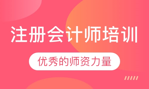 2023年注册会计师战略重点学习内容总结pdf电子档百度云下载