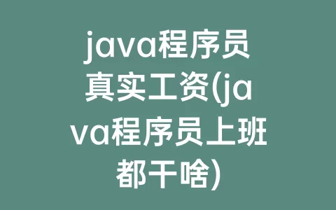 java程序员真实工资(java程序员上班都干啥)
