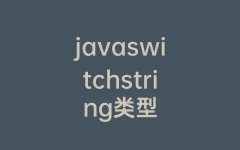 javaswitchstring类型