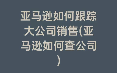 亚马逊如何跟踪大公司销售(亚马逊如何查公司)