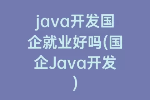 java开发国企就业好吗(国企java开发)