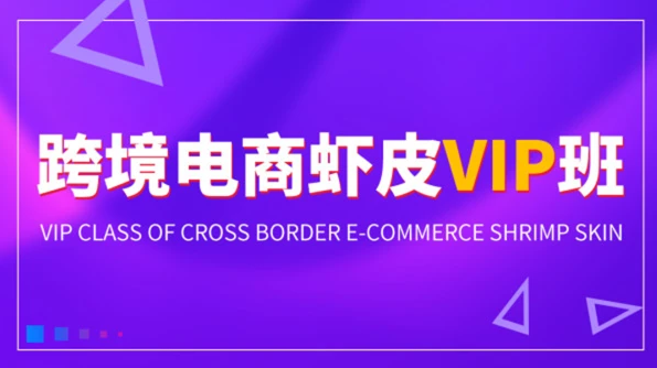 虾皮跨境电商教程百度网盘 shopee运营教程云