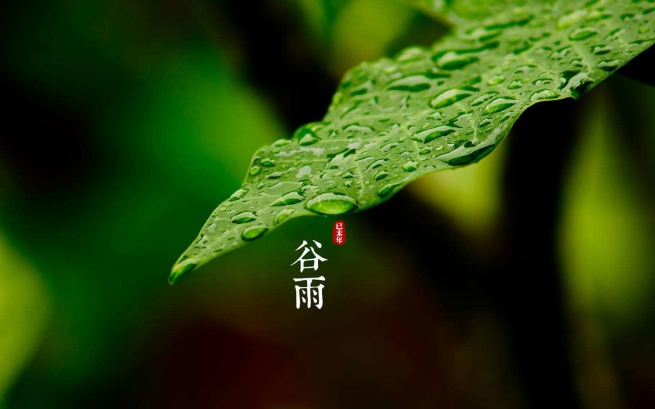 —建法规2023年视频教程下载