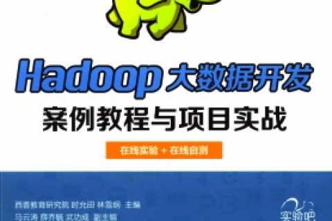 hadoop大数据开发案例教程与项目实战pdf电子书籍下载百度网盘