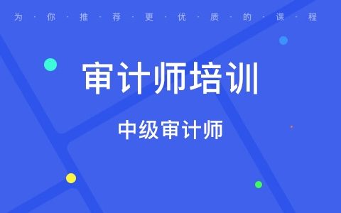 2023中级审计师理论与实务培训视频课程百度云免费下载