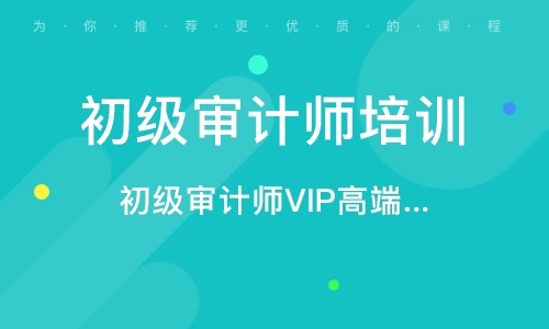 2023初级审计师理论与实务视频教材电子版pdf百度云下载