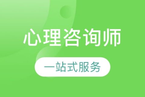 2023心理咨询师三级专业能力精讲视频课程百度云网盘下载